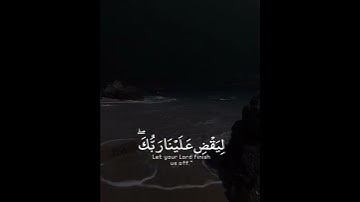 اكتب شي تؤجر عليه 🤍 | القارئ ياسر الدوسري | قرآن كريم