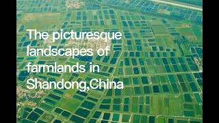 The picturesque landscapes of farmlands in Shandong,China by Alvin Kung 999 3 views 5 months ago 1 minute, 53 seconds
