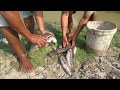 Dry Season 2020 ! Amazing Man Catch A Lot Of Fish In Dry Season / Best Fishing Videos