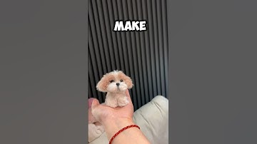 Just made this adorable Shih Tzu out of pipe cleaners 🐶✨#diy #craft #pipecleaners #miniaturecrafts