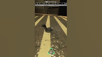 Hidden secret in firing range!