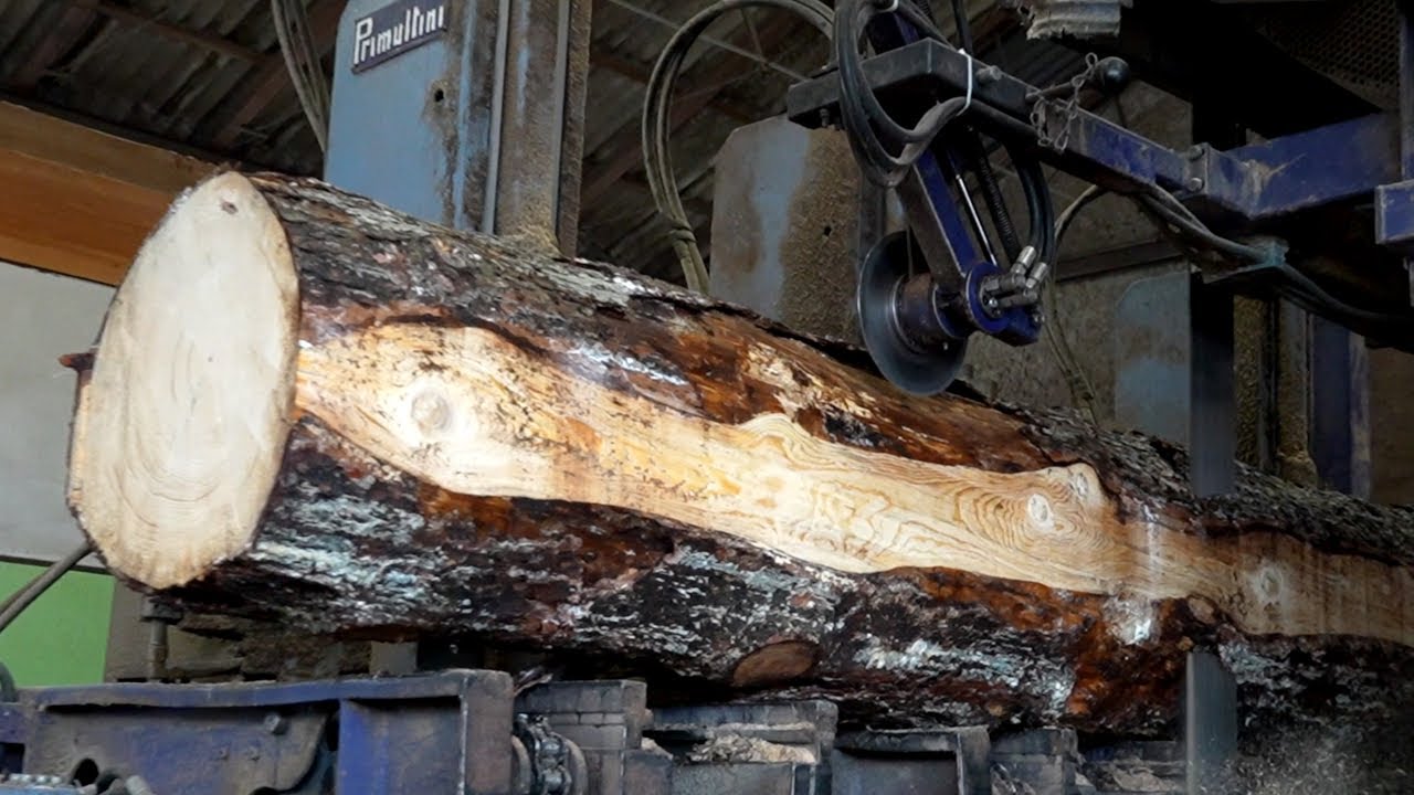Удивительное превращение гигантских деревьев в строительный материал | Лесопилка