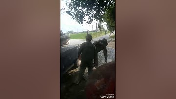 Bốc xếp xi măng trời nắng và cái kết