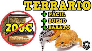 COMO HACER UN TERRARIO CASERO Gecko Leopardo | Reino Animal