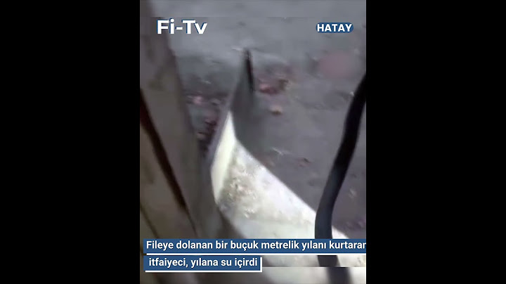 🔵Fileye dolanan bir buçuk metrelik yılanı kurtaran itfaiyeci, yılana su içirdi