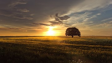 parallax photography