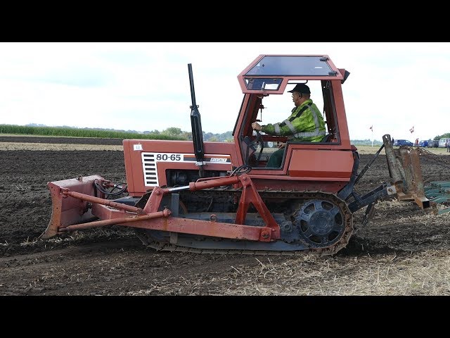 Fiat 80-65 w/ Tracks Cultivating The Field with Light Soil Cultivator | Fiat Days 2017 | Danish Agri class=