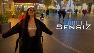 Zemine - Sensiz  /2023 /4K Resimi