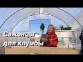 🍂 ОСЕНЬ 🍂 на ЮГЕ. О Мусе. Покупки для клумбы и дома🏠