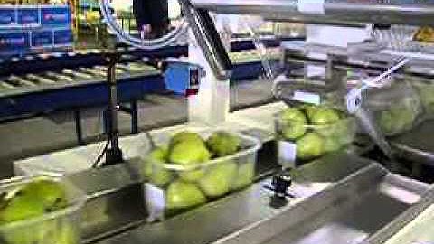 Emrich - PFM Hurricane Servo Horizontal Flow Wrapper - Pear Trays