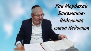 Рав Мордехай Биняминов: Недельная глава Кедошим