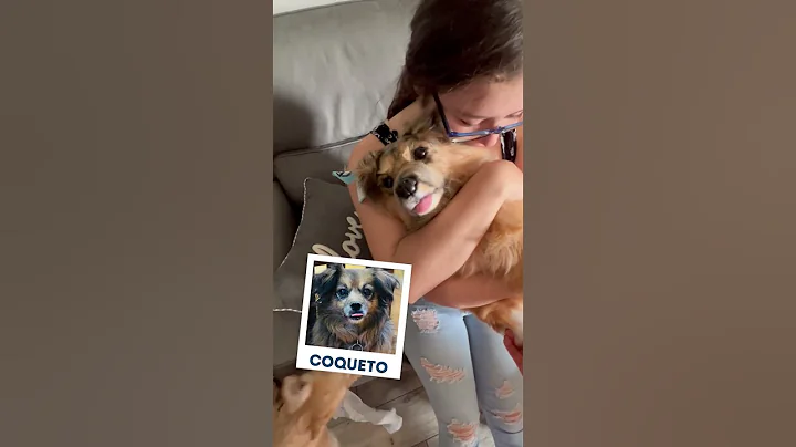 Sentimental Gift After Pet Loss | MyPetsies© Custom Stuffed Animal