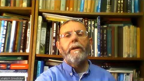 Shalom Bresticker Accepts Accellera