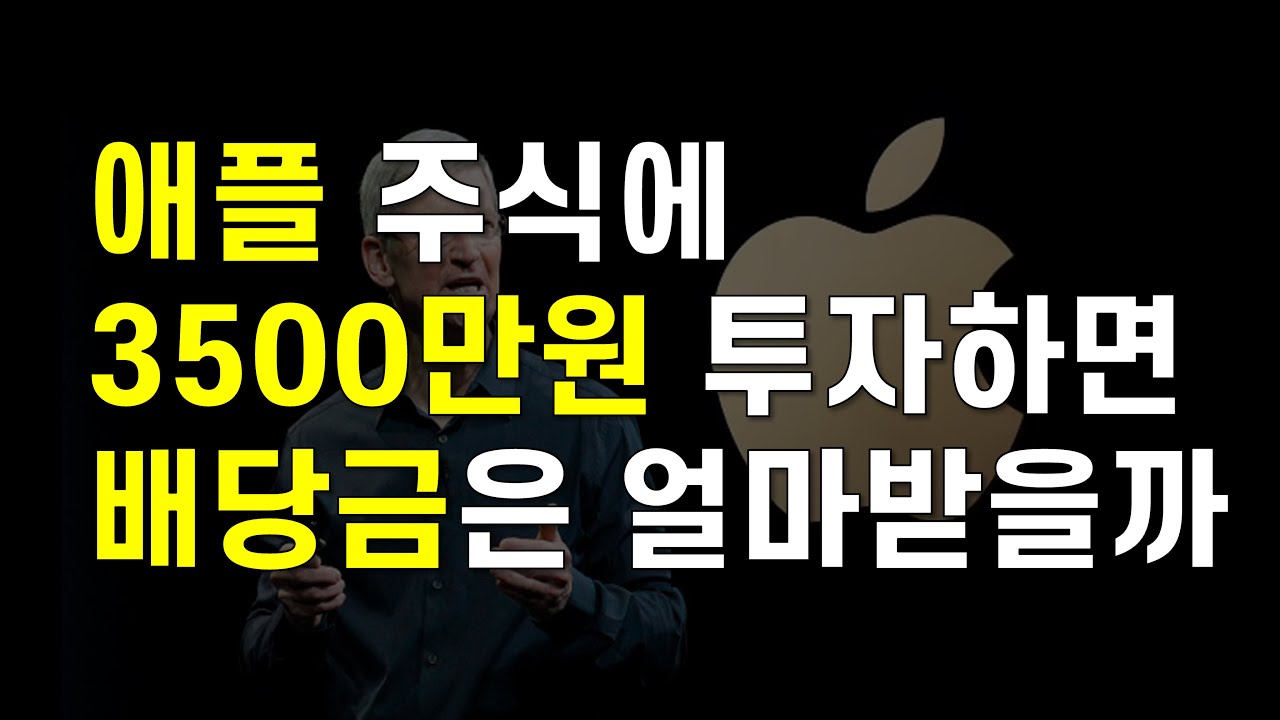 2년동안 1주도 안팔고 애플 주식 3500만원 투자하면 받은 배당금과 수익률을 공개합니다