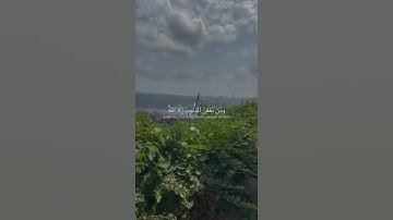 والذين إذا فعلوا فاحشة أو ظلموا أنفسهم ذكروا الله فاستغفروا لذنوبهم...) #سورة_آل_عمران /إسلام صبحي