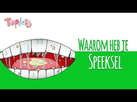 Video: Waarom kom speeksel meer?