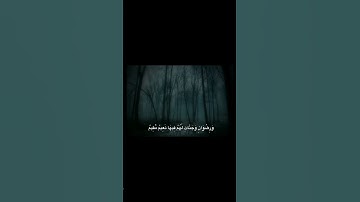 يُبَشِّرُهُمْ رَبُّهُم بِرَحْمَةٍ مِّنْهُ | محمد صديق المنشاوي | سورة التوبة