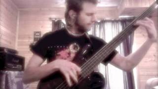 Augury- Simian Cattle (Fretless bass cover)