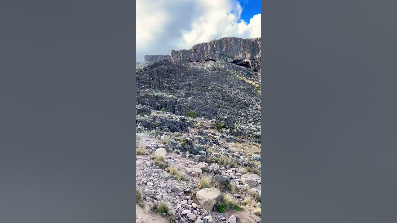 Kilimanjaro #shortvideo #foryou #short  #kilimanjarosafari #instagram #africa#funny#song#relaxing