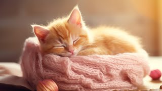 EXTREMELY Soothing Cat Therapy Music  Relax Your Cat! Cat Music  Music to Help Your Kitty Sleep