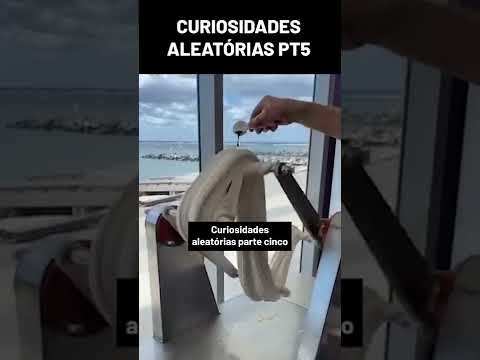 CURIOSIDADES ENGRAÇADAS – parte 5 #shorts