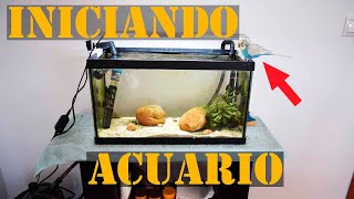 Equipamiento básico para acuario 🦐