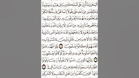 الثمن الرابع (4) - الحزب الثاني - سورة البقرة - رواية ورش عن نافع - القارئ ياسين الجزائري