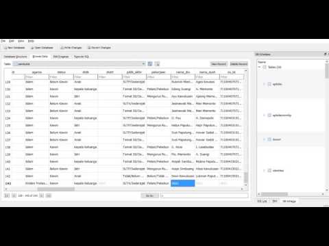 Tutorial SQLite Browser