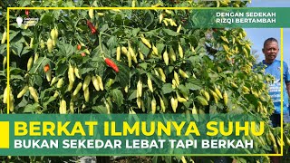 BUKAN CUMA OBAT! ADA YANG LEBIH PENTING DARI ITU! | PEMBUKTIAN PROFESOR CABAI | PART 2