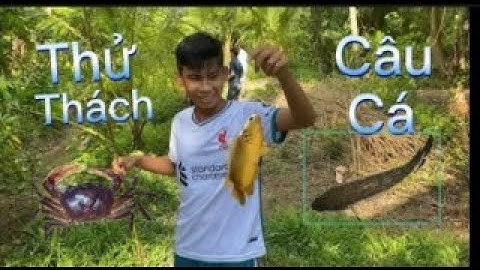 Câu Cá Miền Tây | Tập 2 : Câu Cá Bống Dừa Bằng Cần Câu Tre Tự Chế |  Goby Fishing