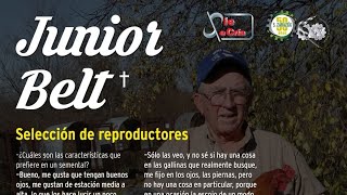 JUNIOR BELT 🐓🐓 FRAGMENTO ENTREVISTA LOS "COWAN ROUNDHEAD Y TOPPIES" 👌🐓🐓