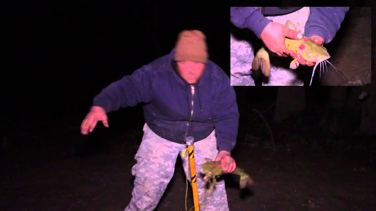 Catfishing with a bank line YouTube