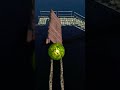 EXTREME BALANCER 3 Games Viral Shorts 
