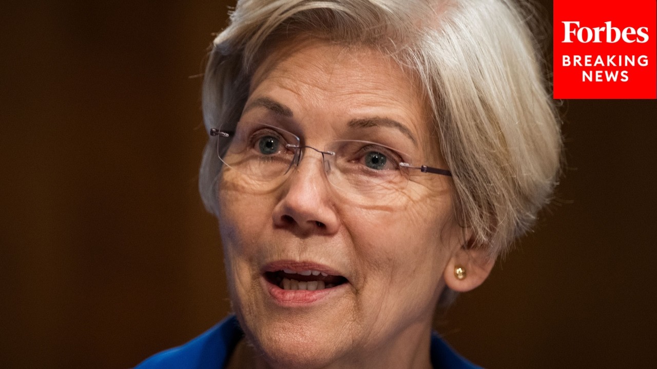 Elizabeth Warren Decries Big Defense Contractors Lobbying To Keep Military 'Solely Reliant On Them'