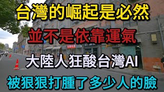 台灣的崛起是必然，並不是依靠運氣,不僅是芯片，大陸人狂酸台灣AI，被狠狠打腫了多少人的臉，更是你看不懂的「台灣底色」。