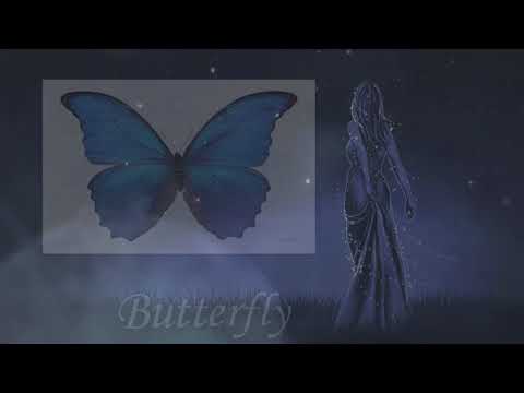 Video: Was ik de vlinder die droomde?