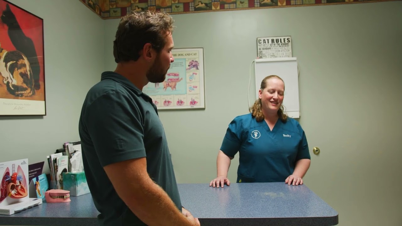 Vet Advertisement