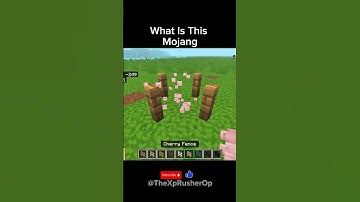 Why Nether Brick Fence Refuses to Connect? 😳😂 #minecraftshorts #minecraftbuild | TheXpRusherOp