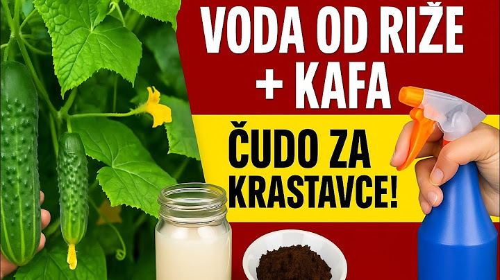 Voda od Riže + Talog kafe = ČUDO za Krastavce!