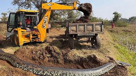 JCB 3dx Backhoe Loading Mud in Mahindra 475 JCB miti Khudai #jcb #jcb #jcbvideo