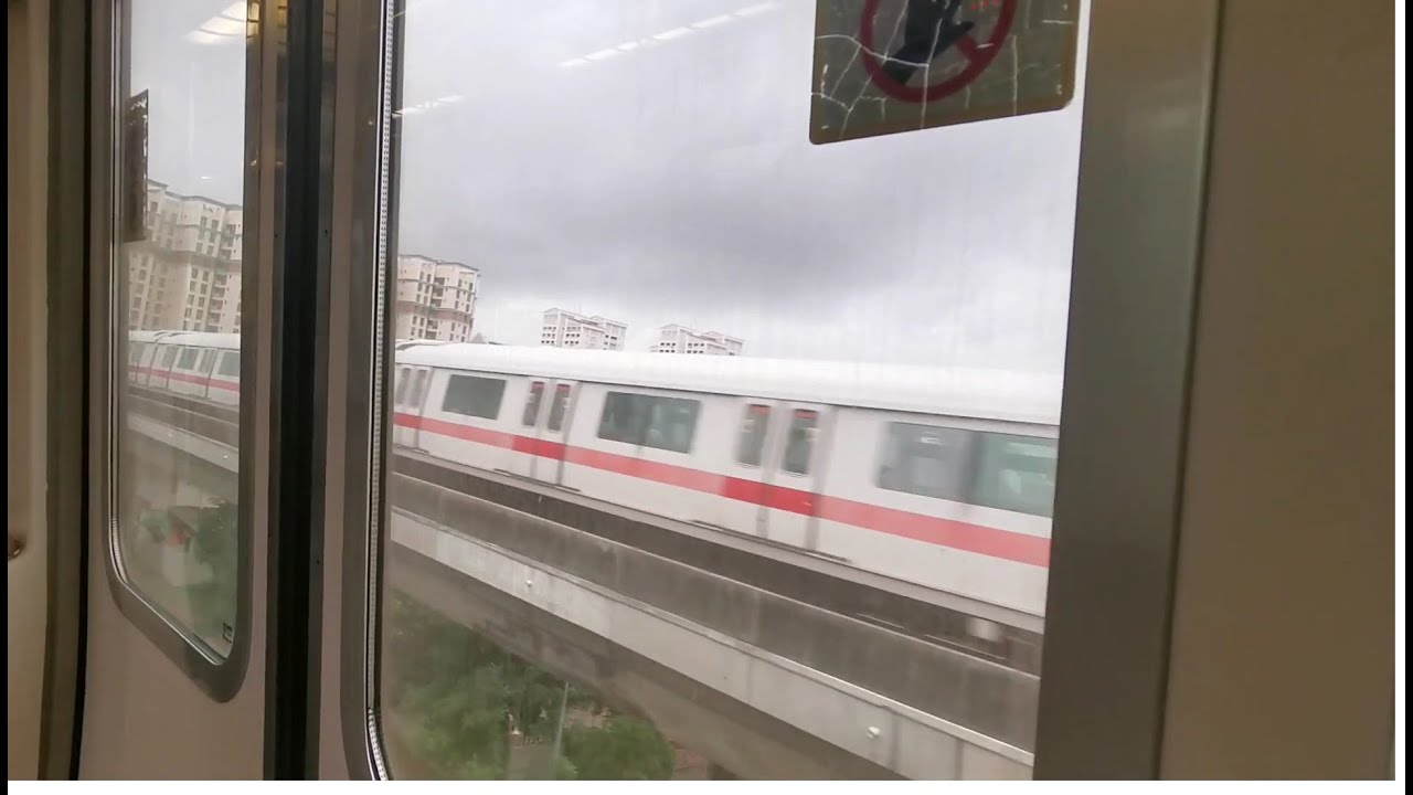 SMRT C151 [043/044]: Pasir Ris - Tuas Link