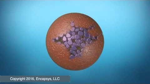 Interfacial Microencapsulation