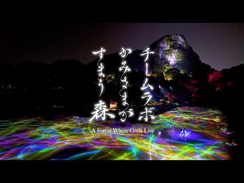 チームラボ かみさまがすまう森 / Concept Movie