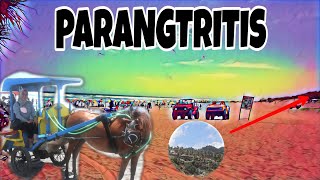 Jilid. 256 PARANGTRITIS KATON AWE AWE‼️GIMANA KALAU ADIK ADIK KESINI YA❓❓🤔🤔