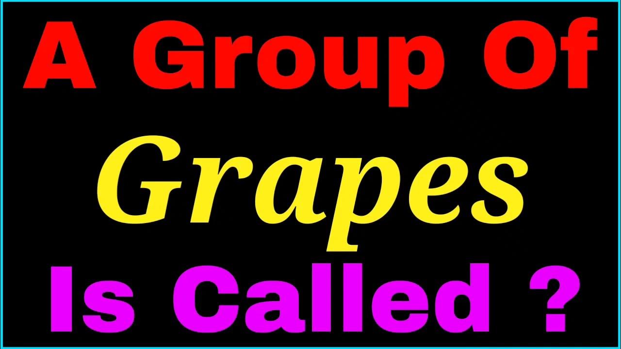 A group of Grapes is called collective noun of Grapes YouTube