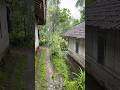 The Sound of Peace: Rain in a Remote Indonesian Village #ASMR #SlowLiving #Nature #Peaceful #Relaxa