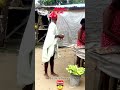FUNNY VIDEO 2025ЁЯШЬЁЯдгЁЯдгЁЯдгЁЯдгЁЯдгЁЯдгЁЯдгЁЯдгЁЯдгЁЯдгЁЯдгЁЯдгЁЯдг Viralpost Foryou FypуВ Fyp Fyp Funnyreels Viral FUNNY VIDEO 2025ЁЯШЬЁЯдгЁЯдгЁЯдгЁЯдгЁЯдгЁЯдгЁЯдгЁЯдгЁЯдгЁЯдгЁЯдгЁЯдгЁЯдг Viralpost Foryou FypуВ Fyp Fyp Funnyreels Viral