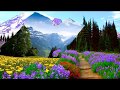 Springtime on the mountains (HD1080p)