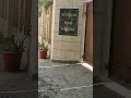 Today at house of Inzimamul Haq|cricketer|Inzi house 🏠
