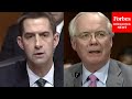 Tom Cotton Grills CEO Over Firings Of Employees Who Refused To Wear 